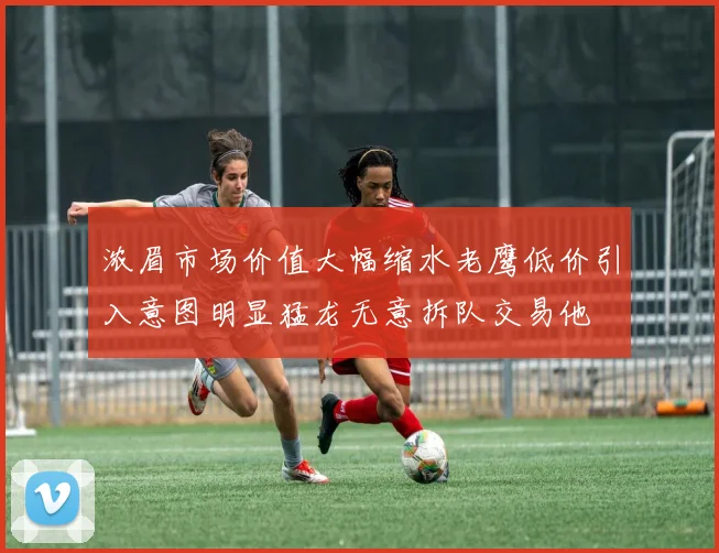 浓眉市场价值大幅缩水老鹰低价引入意图明显猛龙无意拆队交易他