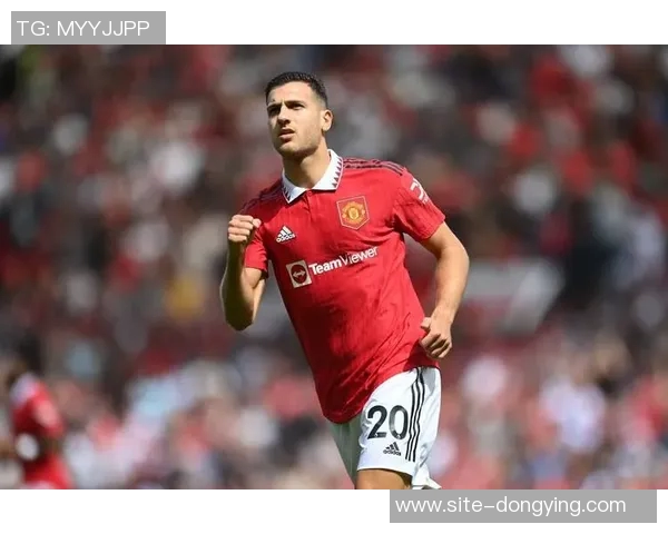 邓利维称本赛季阵容为22年夺冠后最佳缺少核心球员难以取胜 邓利维称本赛季阵容为22年夺冠后最佳缺少核心球员难以取胜